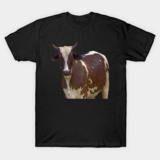 cow T-Shirt